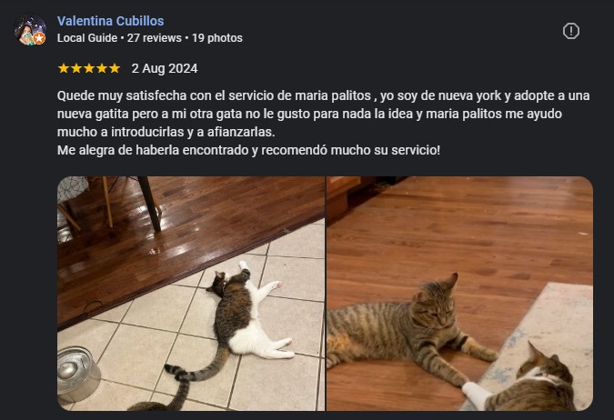 Testimonio Valentina Cubillos MariaPalitos